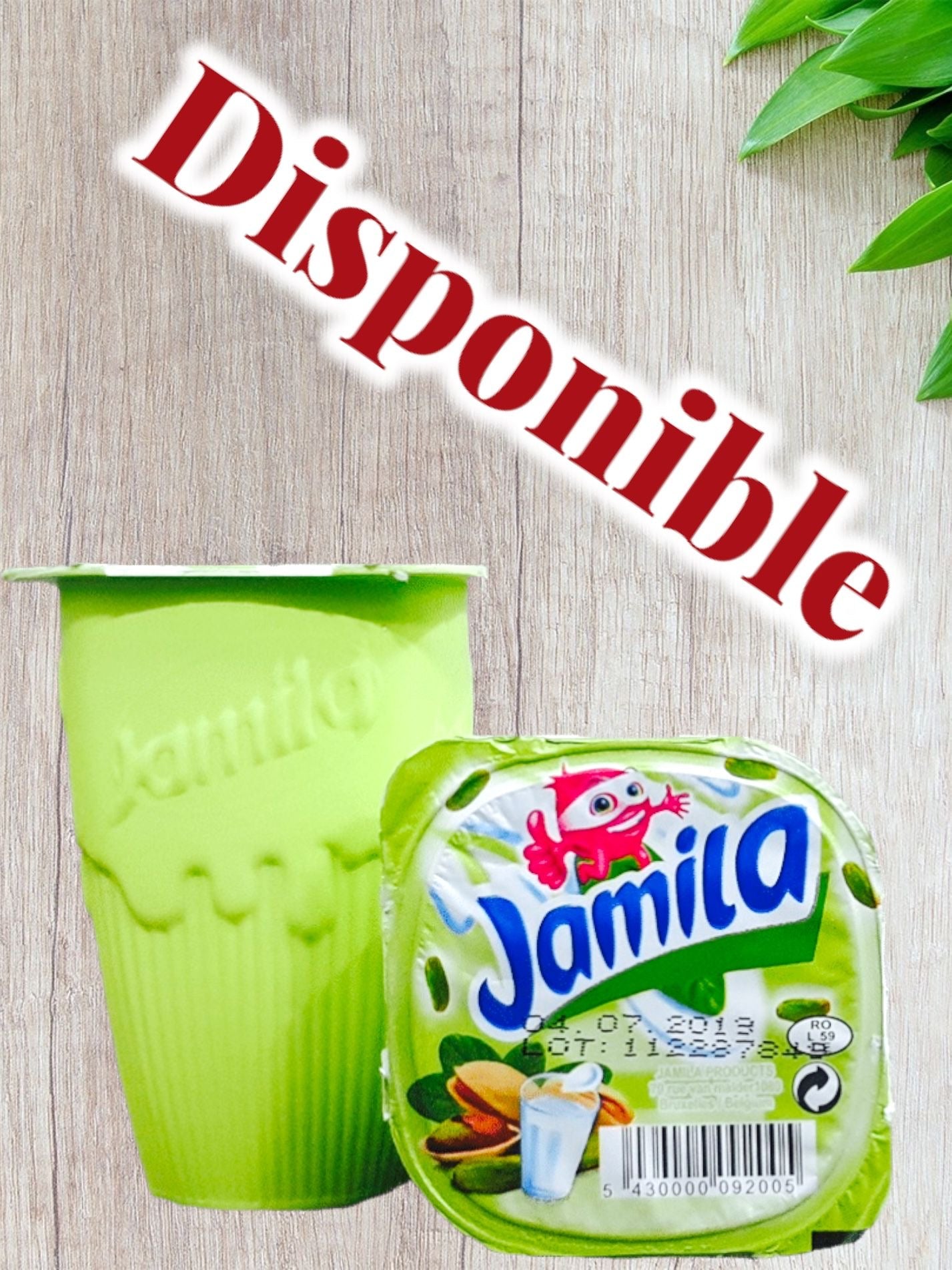 Raibi jamila 170ml
